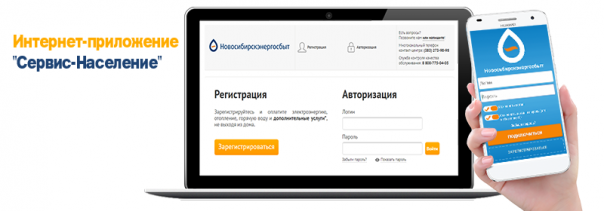 lk-novosibirskenergosbyt-energozhkhsbyt.ru